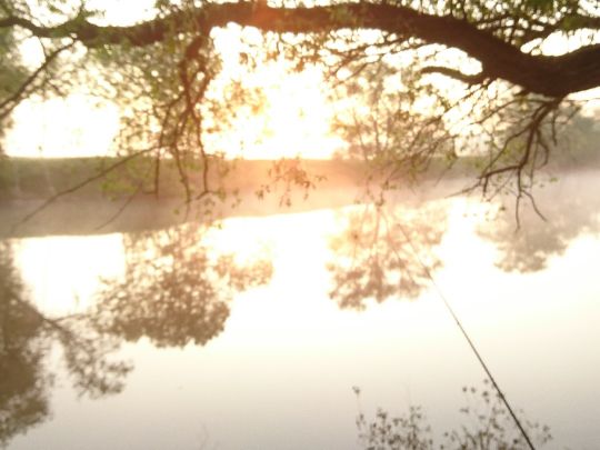 Saale (Naumburg/Saale)-2