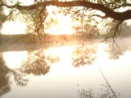 Saale (Naumburg/Saale)-2