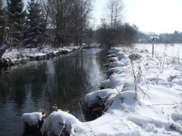 Anzinger Sempt (Markt Schwaben)