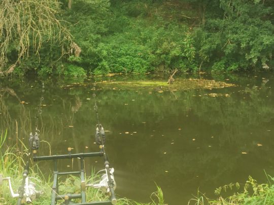 Jagst (Sattteldorf)