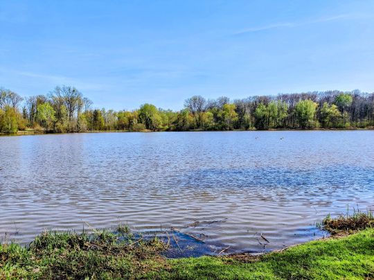 Baggersee Gänskopf-1