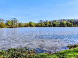 Baggersee Gänskopf-1