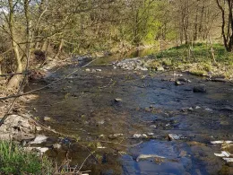 Lahn (Bad Laasphe)-2