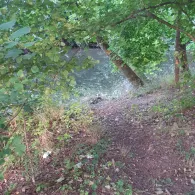 Lahn (Bad Laasphe)-4