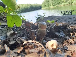 Kleiner Pahnaer See-1