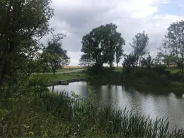 Dorfteich Kaltohmfeld-1