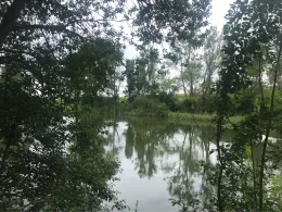 Dorfteich Kaltohmfeld-2