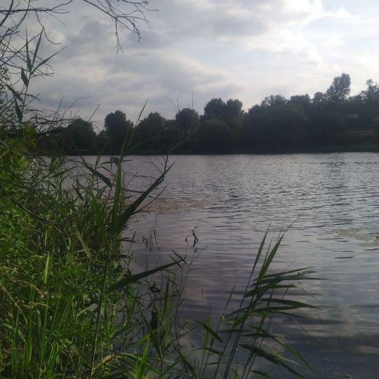 Elsterbecken (Leipzig)-1