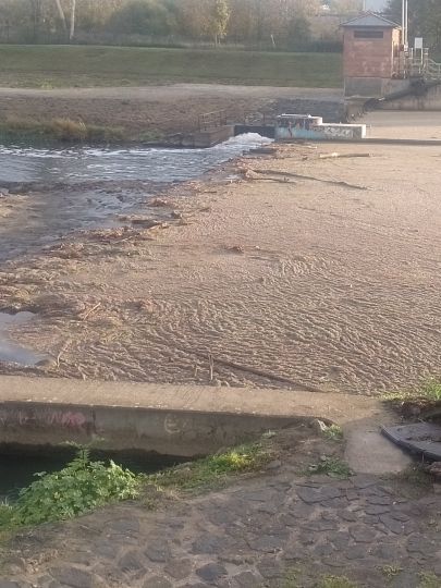 Elsterbecken (Leipzig)-2