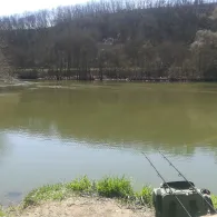 See 4 (Marktsteft)-1