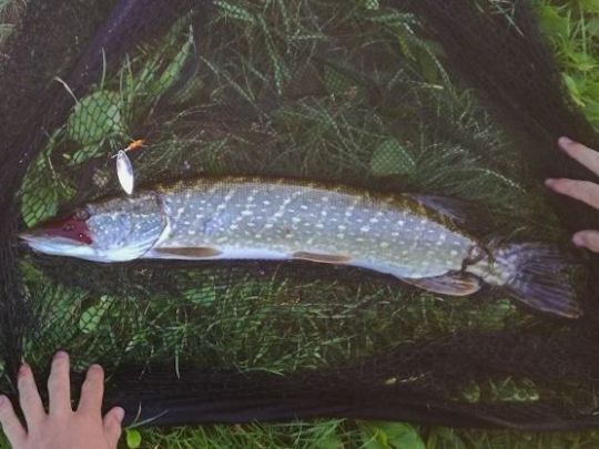 See 4 (Marktsteft)-2