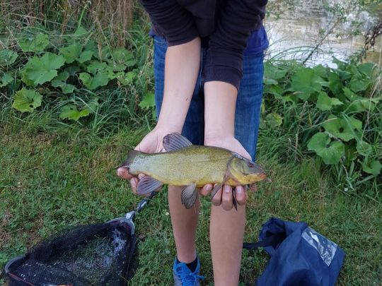 Eisweiher (Herrenberg)-1
