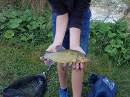 Eisweiher (Herrenberg)-1
