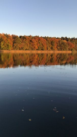Ellbogensee (Priepert) angeln