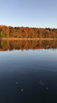 Ellbogensee (Priepert)-1