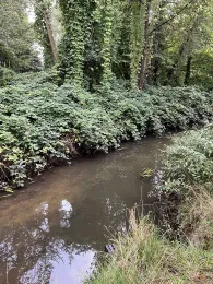 Klosterbach (Bassum)-1