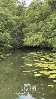Verbindungskanal Dabelowsee-Brückentinsee-0