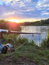 Moorteich (Stralsund)