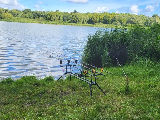 Moorteich (Stralsund)-1