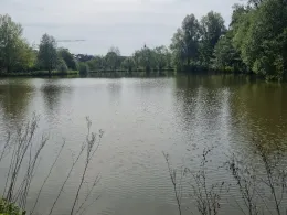 Paddelteich (Flieden)-2