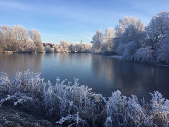 Paddelteich (Flieden)-1