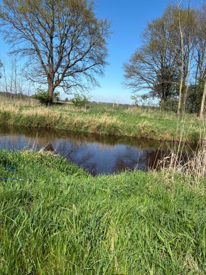 Wümme-Südarm (Fischerhude)-2