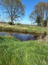 Wümme-Südarm (Fischerhude)-2