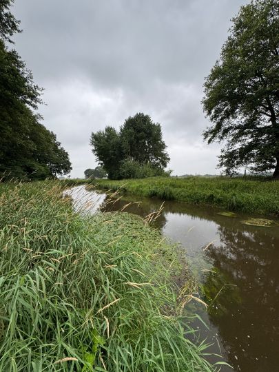 Wümme-Südarm (Fischerhude)-4
