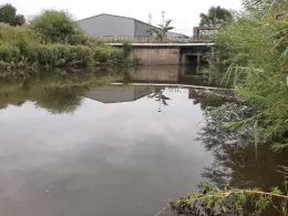 Meldorfer Hafenstrom (Außenmiele)-3