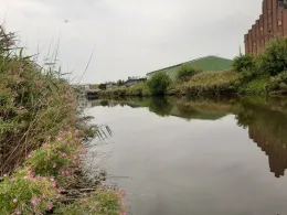 Meldorfer Hafenstrom (Außenmiele)-4