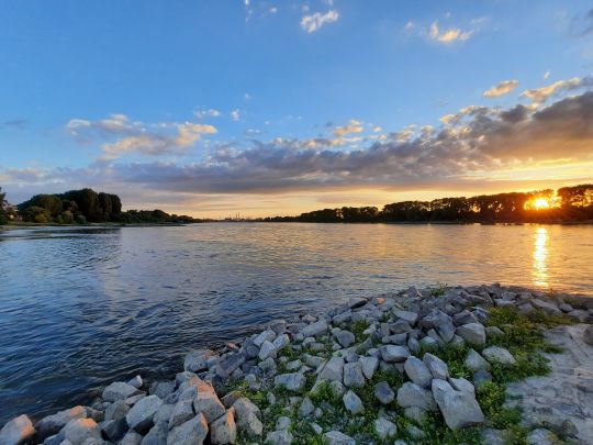 Rhein (Köln)-2