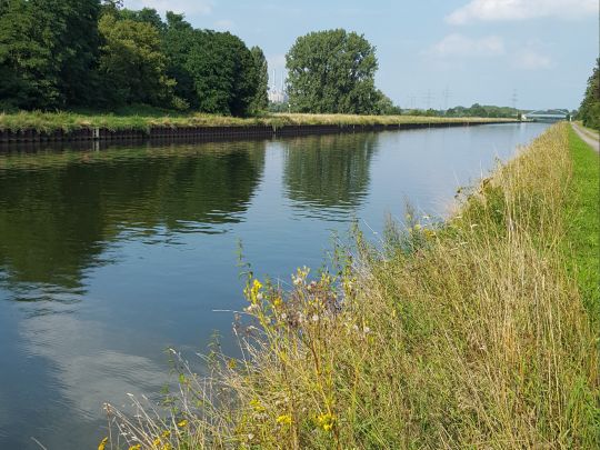 Datteln-Hamm-Kanal (Stockum)-2