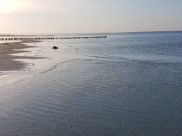 Ostsee (Poel-Schwarzer Busch)