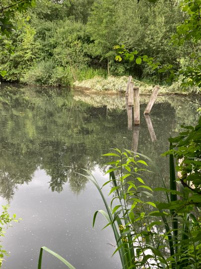 Kleiner See Hamburg-2