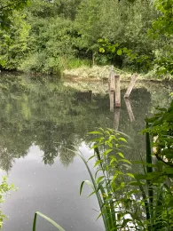 Kleiner See Hamburg-2