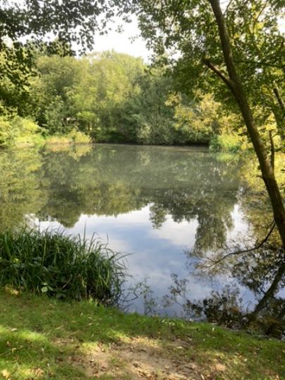 Kleiner See Hamburg-3