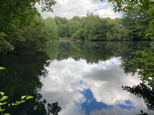 Kleiner See Hamburg-1