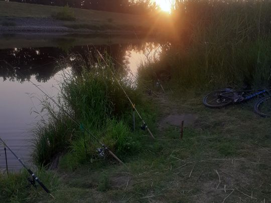 Elbe (Hansestadt Werben)-1