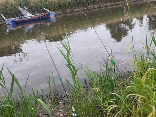 Elbe (Hansestadt Werben)-3