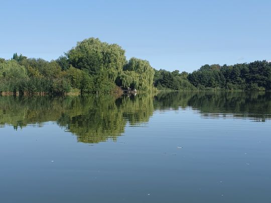 Ostorfer See (Schwerin)-3
