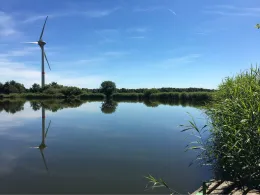 Weißkniewehle (Finkhaus)-2