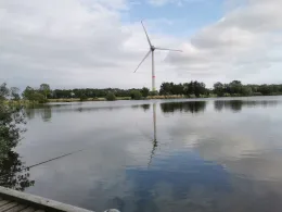 Weißkniewehle (Finkhaus)-3