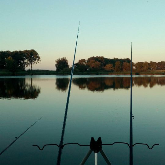 Weißkniewehle (Finkhaus)-1