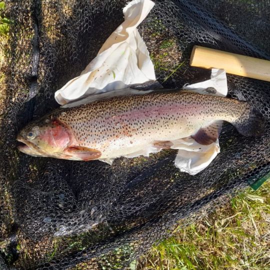 Turbos Angelteiche-2