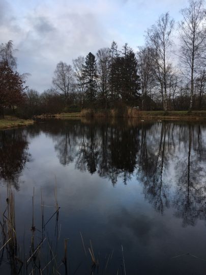 Teichanlage Ossenpadd-1