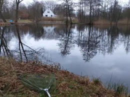 Teichanlage Ossenpadd-2