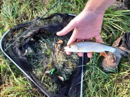 Unstrut (Laucha an der Unstrut)-2