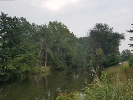 Unstrut (Laucha an der Unstrut)-1