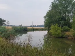 Unstrut (Laucha an der Unstrut)-3