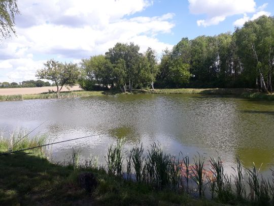 Teich am Agrarflugplatz (Lockstedt) angeln